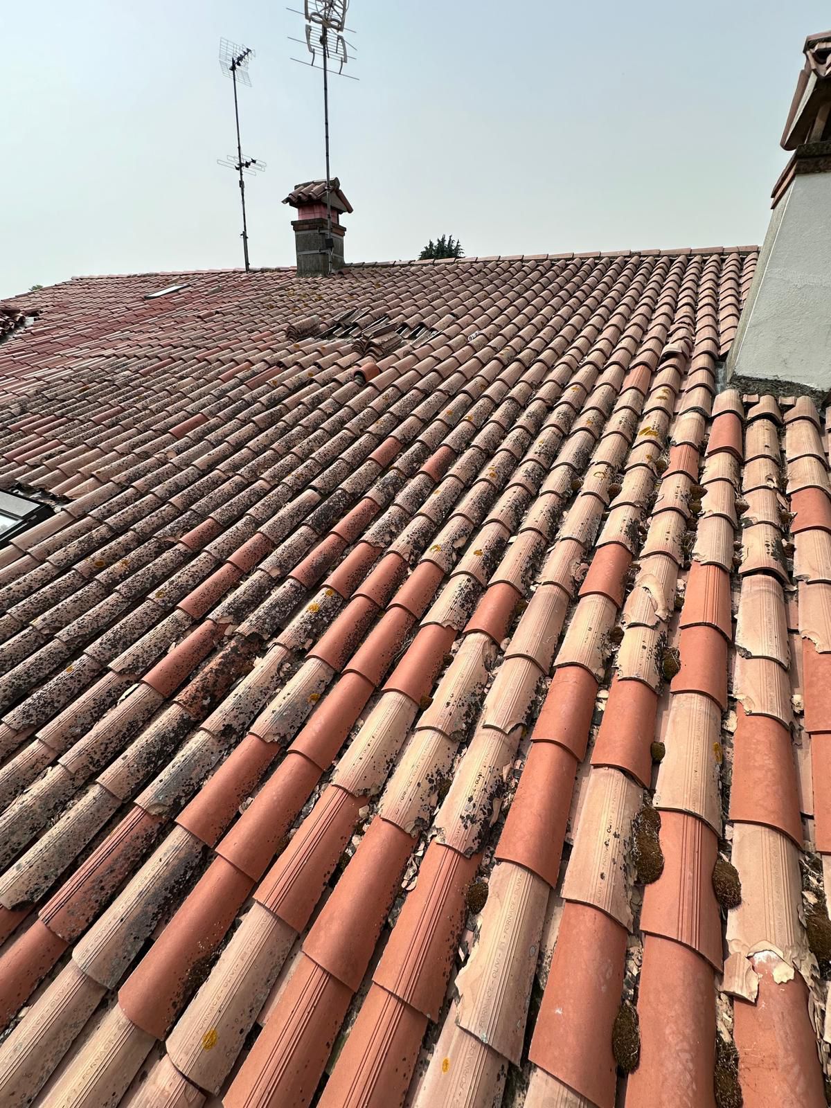 WhatsApp Image 2024-11-26 at 11.10.50 (6)