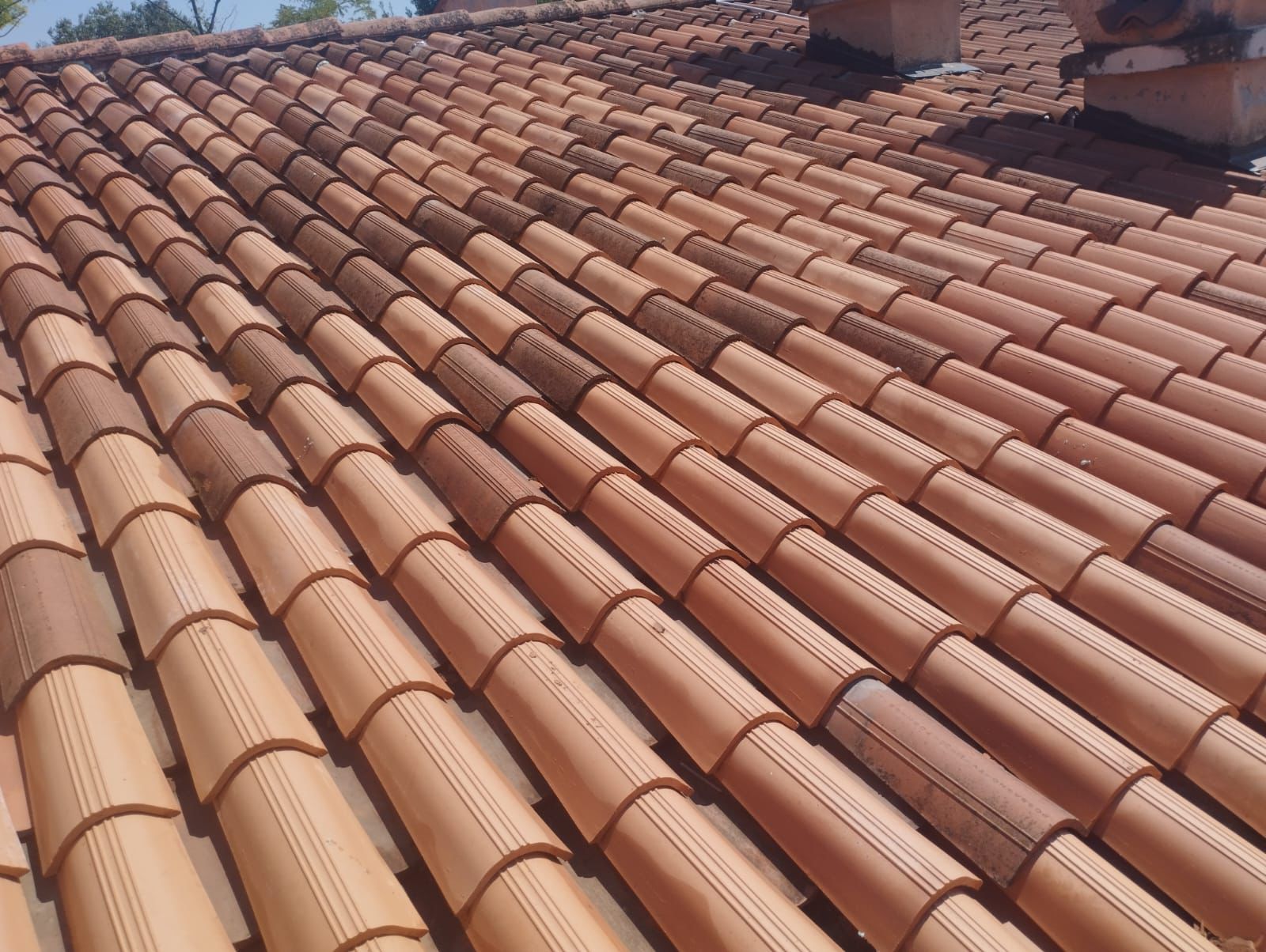 WhatsApp Image 2024-11-26 at 11.13.40 (1)