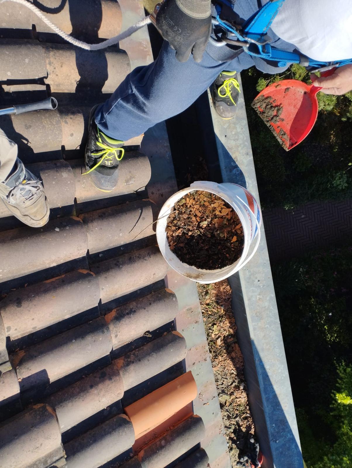 WhatsApp Image 2024-11-26 at 11.15.09 (2)