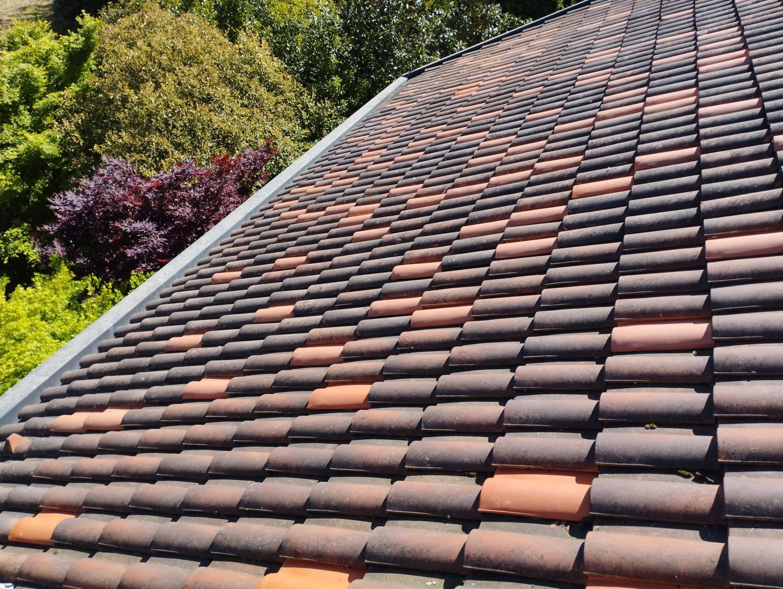 WhatsApp Image 2024-11-26 at 11.15.09